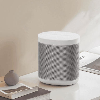 Xiaomi Wireless Speaker - Best Electrical Accessories